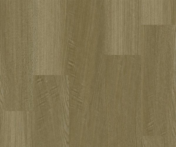 SP509-A3