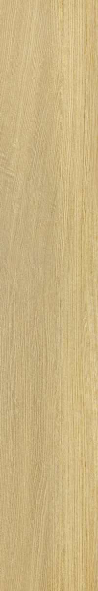 LW303-C3