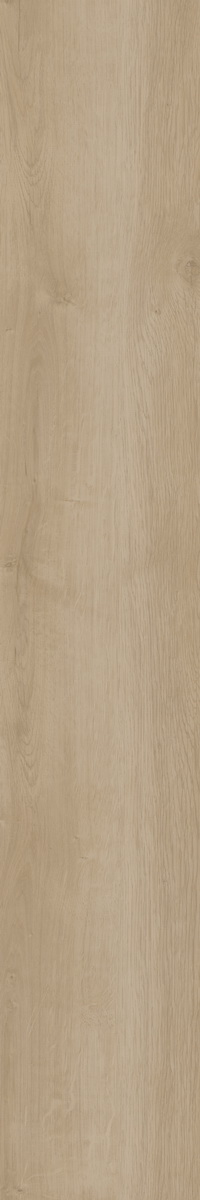 LW305-C3