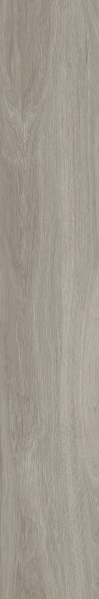 LW309-C3