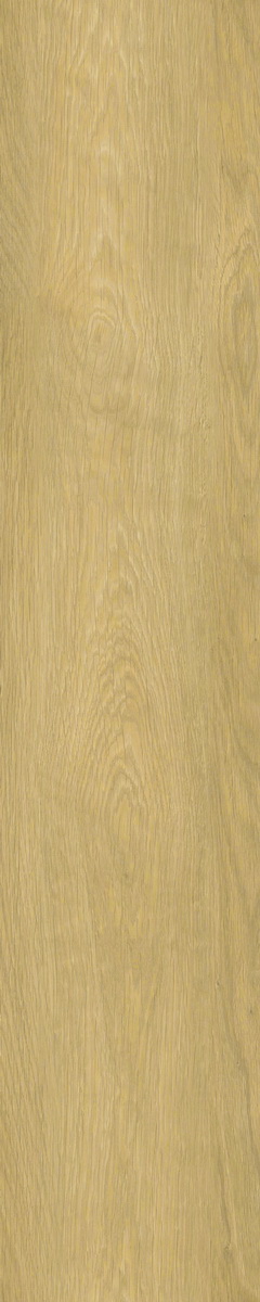 SH502-C3
