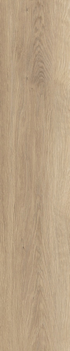 SH503-C3