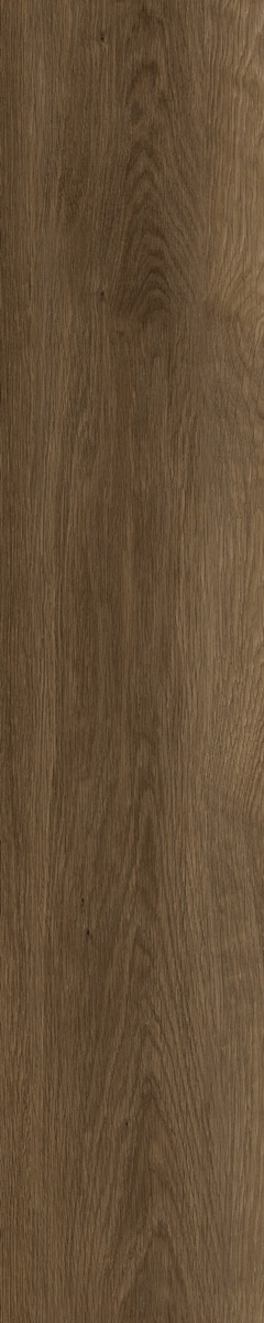 SH504-C3