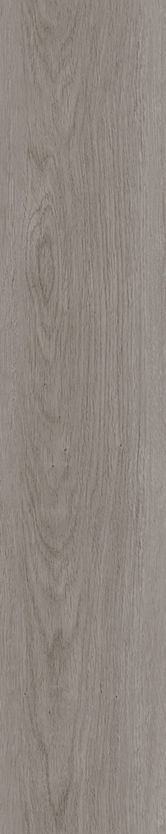 SH506-C3
