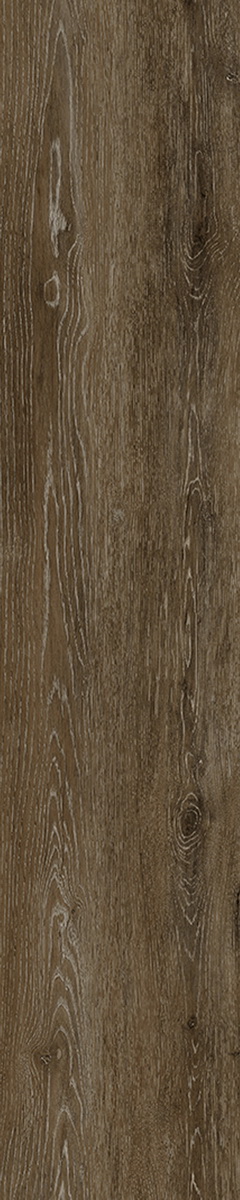 SH508-C3