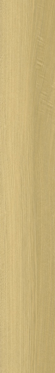 SP508-A3
