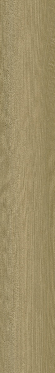 SP509-A3