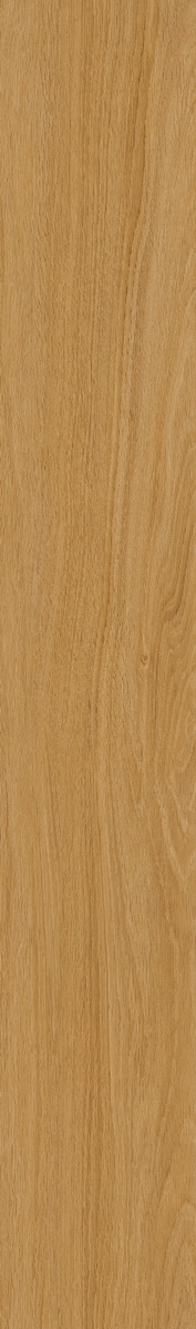 SP512-C3