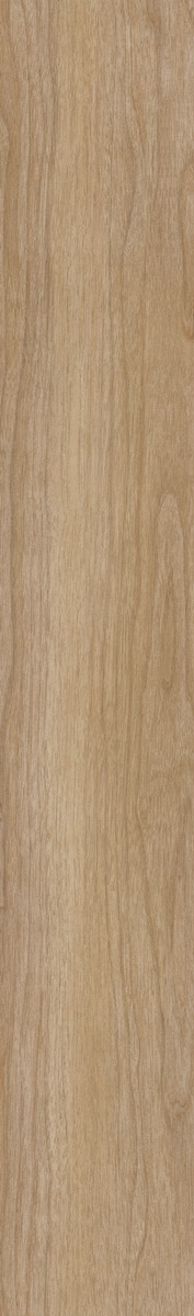 SP514-B3