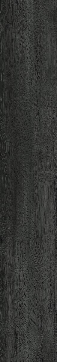 WP707-R3