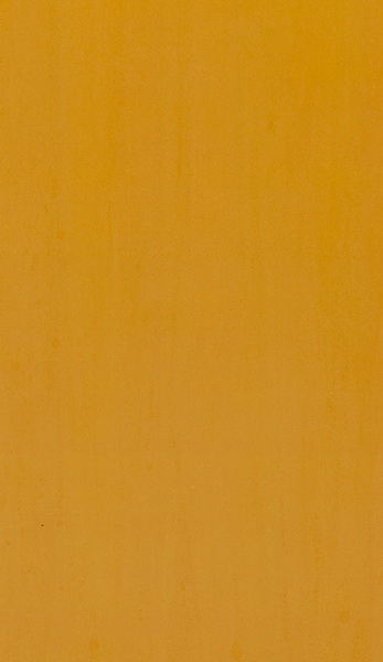 HM-P111