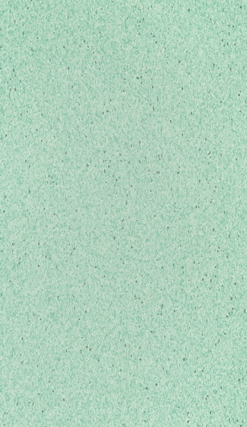 HM-T213