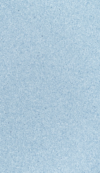 HM-T219