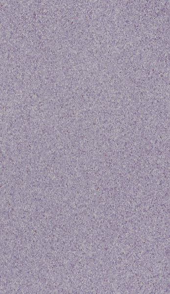 HM-T224
